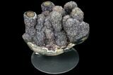 Beautiful Druzy Amethyst Cluster - Custom Metal Stand #83781-1